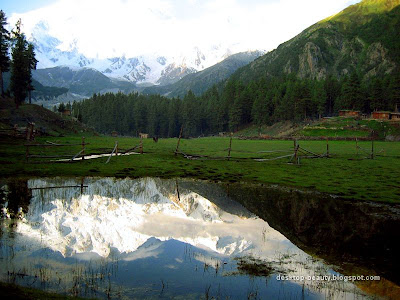 nanga+parbat.jpg