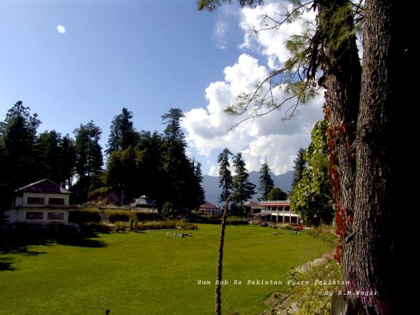 shogran3.jpg