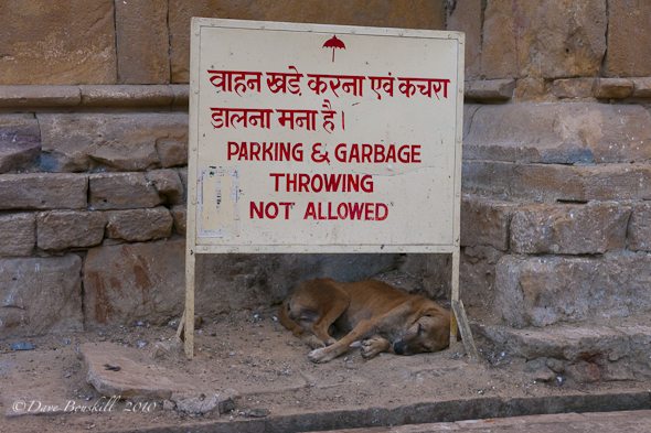 india_filthy_sleeping_garbage1.jpg