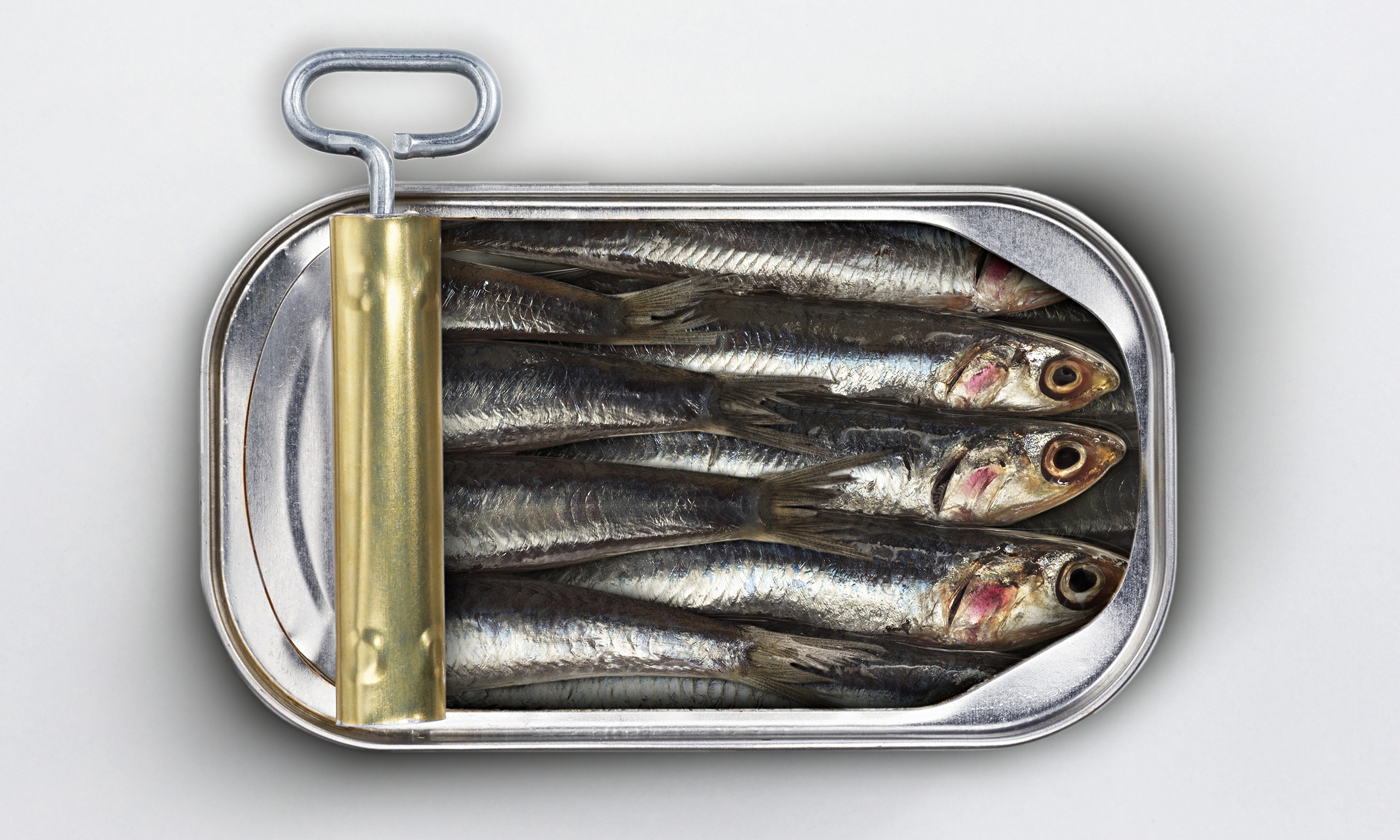 sardines-can.jpg