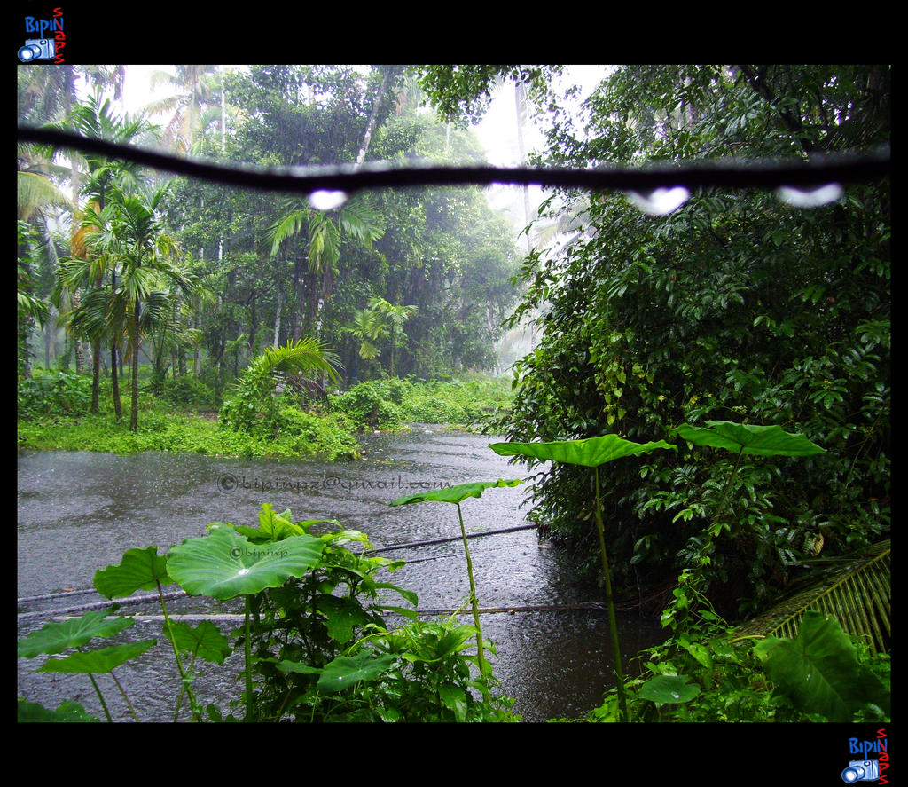 kerala_monsoon_03_by_impeccablez-d32llen.jpg