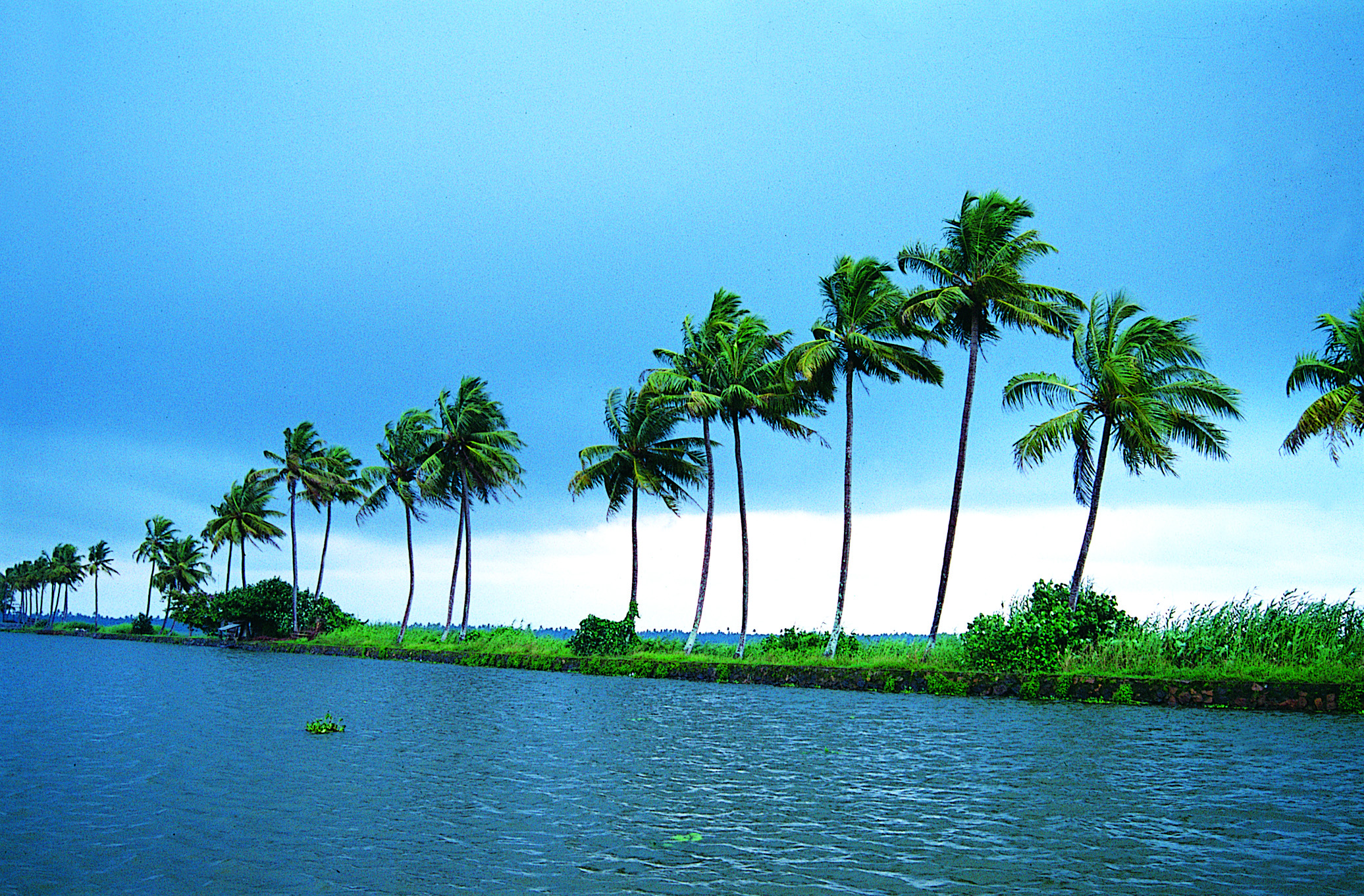 kerala-tourist-spots-kumarakom-backwaters.jpg