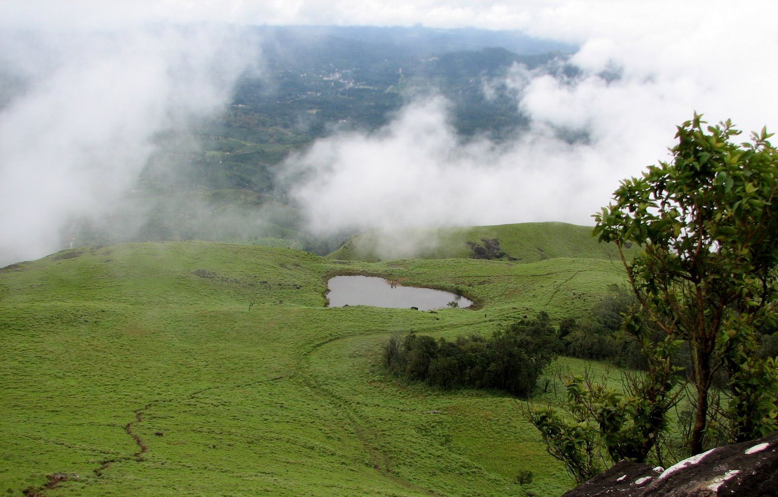 wayanad-6.jpg