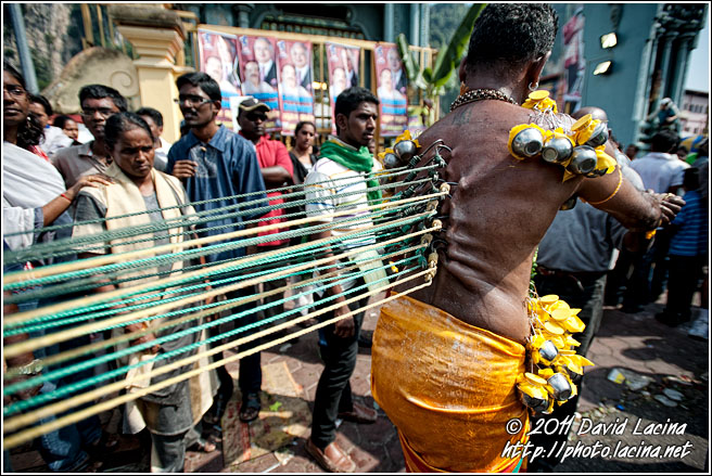 image-3529-pulling-kavadi-thaipusam-malaysia.jpg