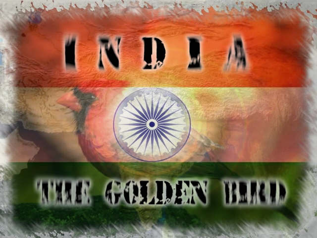 india20-20the20golden20bird1.jpg