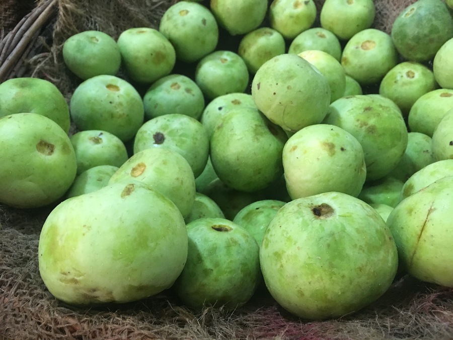 tindeh-apple-gourd.jpg