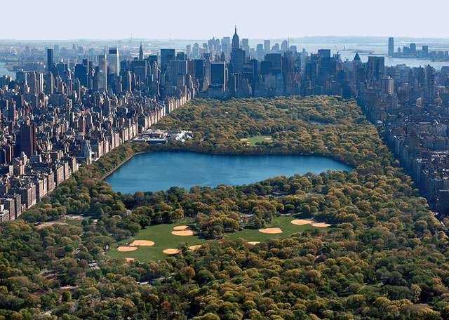 central-park_836231.jpg