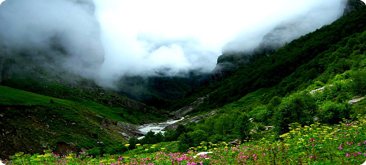 valley-of-flowers-150.jpg