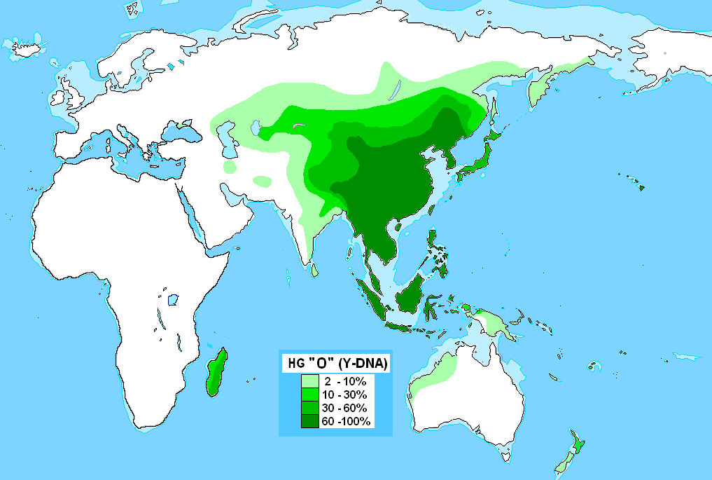 Haplogrupo_O_%28ADN-Y%29.PNG
