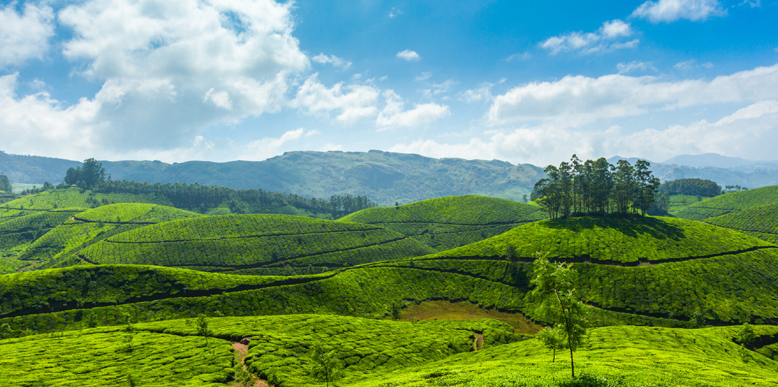 munnar.jpg