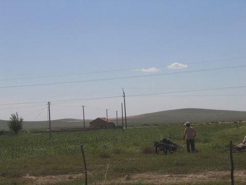 151211_inner_mongolian_millet_farmer_in_chifeng.jpg