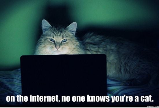 funny-cat-computer-2.jpg