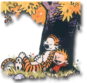 calvinandhobbes.gif