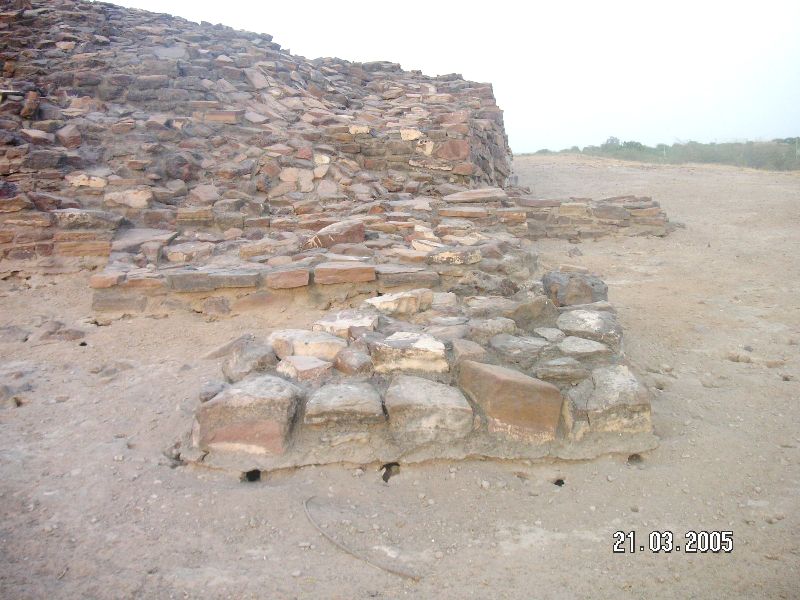 Rapar_taluka_20-22.3_304.jpg