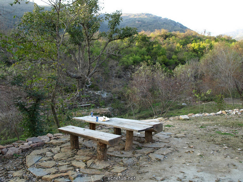 207266,xcitefun-margalla-hills-national-park-6.jpg