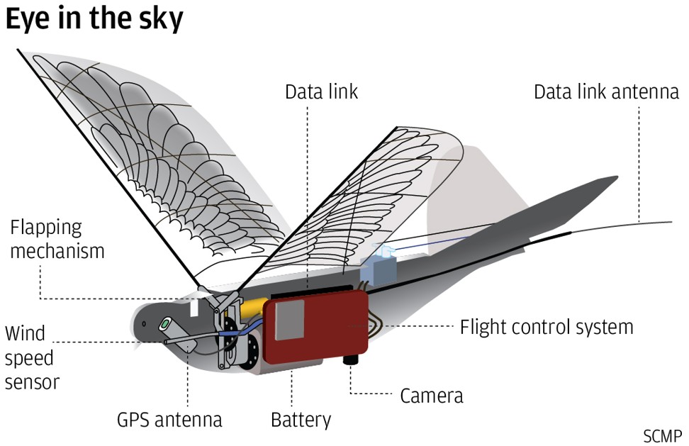 826bd86c-7608-11e8-aa4d-d2a0e82fc143_972x_204148.jpg