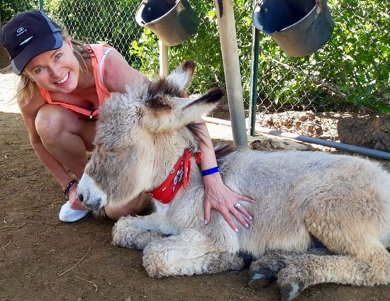 donkey-sanctuary-bonaire-4-min.jpg