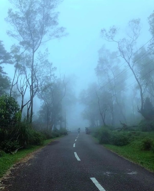 Ponmudi-1648135817.jpg