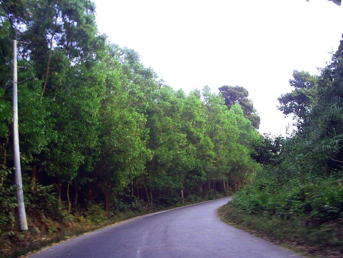 Hilly_way_to_Bandarban_Town.jpg