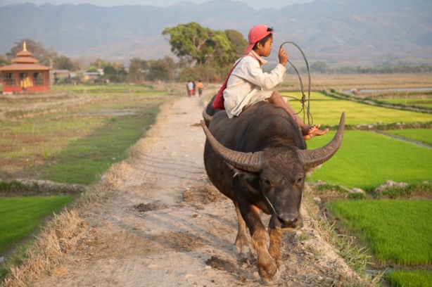 myanmar_photography_09.jpg