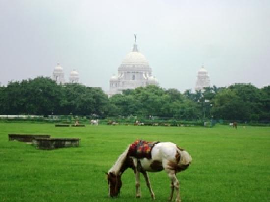 the-grassy-maidan-with.jpg