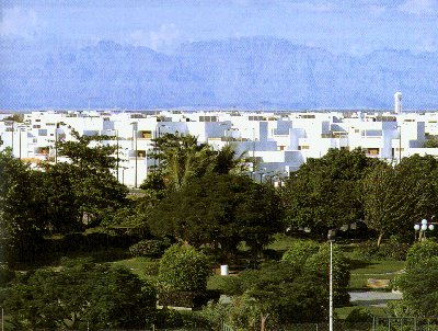 yanbu.jpg