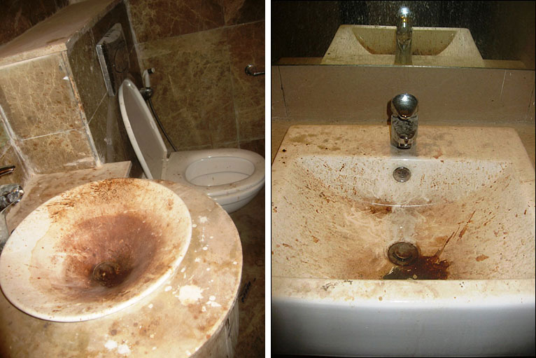 _49213368_composite_sink_toilet.jpg