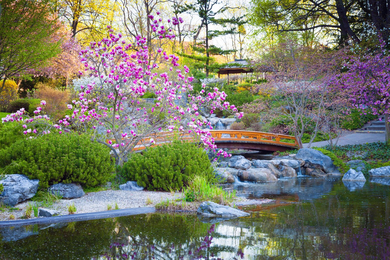 garden-Japanese.jpg