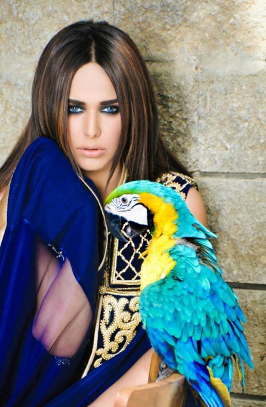 ayyan20ali20parrot-4-1448620619.jpg