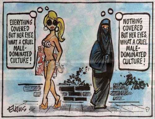 maleDominatedCultureBikiniVsBurka.jpg