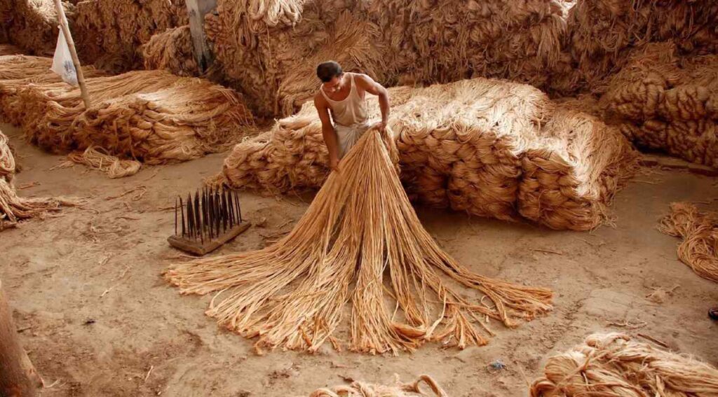 Jute and Jute Manufacture