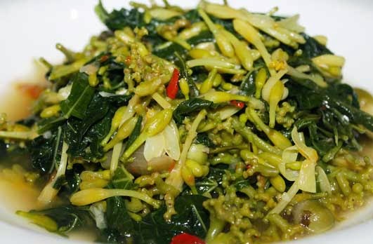 resep-bunga-daun-pepaya.jpg