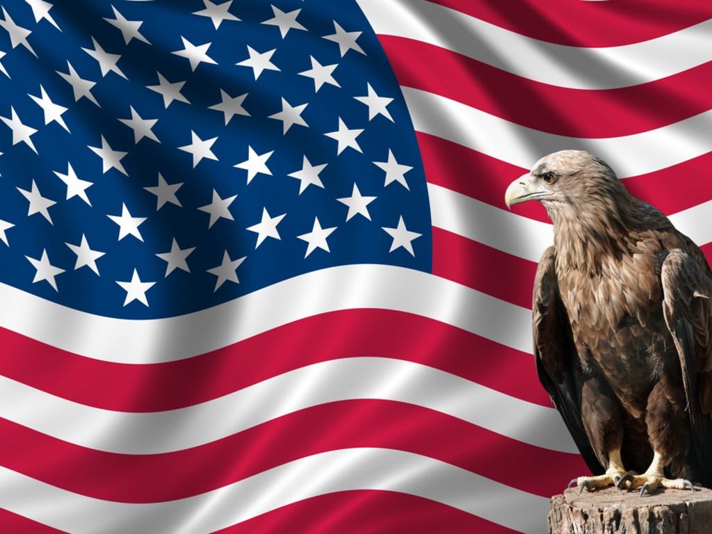 eagle_in_front_of_the_american_flag.jpg