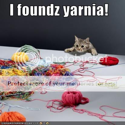 funny-pictures-cat-has-found-yarn.jpg