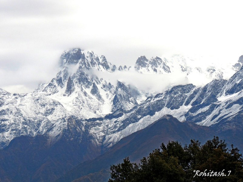 dayara-bugyal-346125.jpg