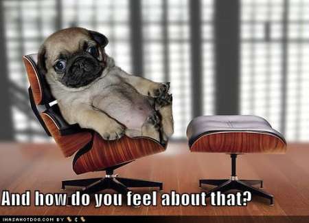 funny-dog-pictures-psychiatrist-pug.jpg