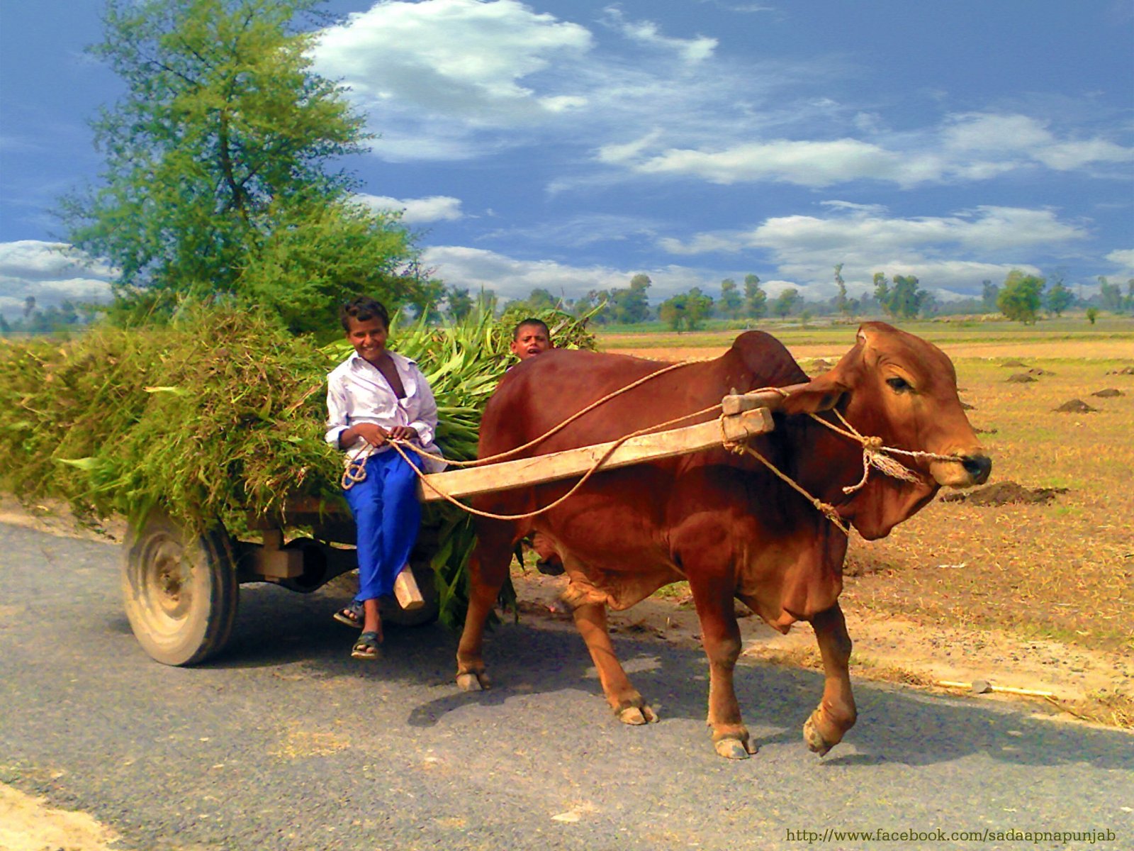 villages-of-punjab-pakistan-70.jpg