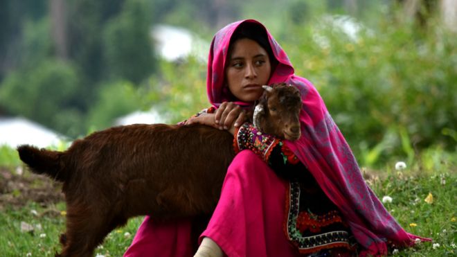 160701053545_arangkel_neelum_valley_kashmir_976x549_bbc_nocredit.jpg