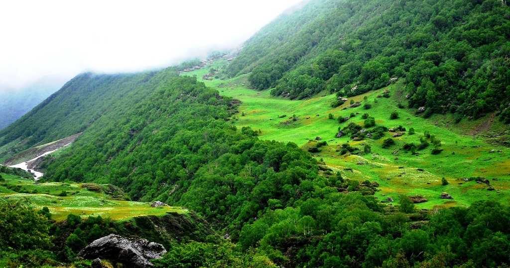 Valley-of-Flowers-National-Park.jpg