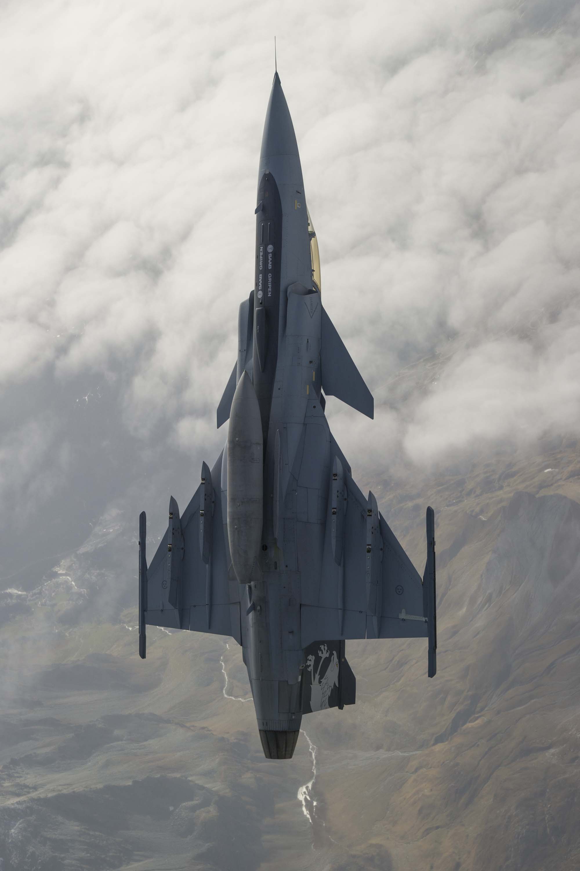 Gripen-F-demonstrador-foto-Departamento-de-Defesa-da-Su%C3%AD%C3%A7a.jpg