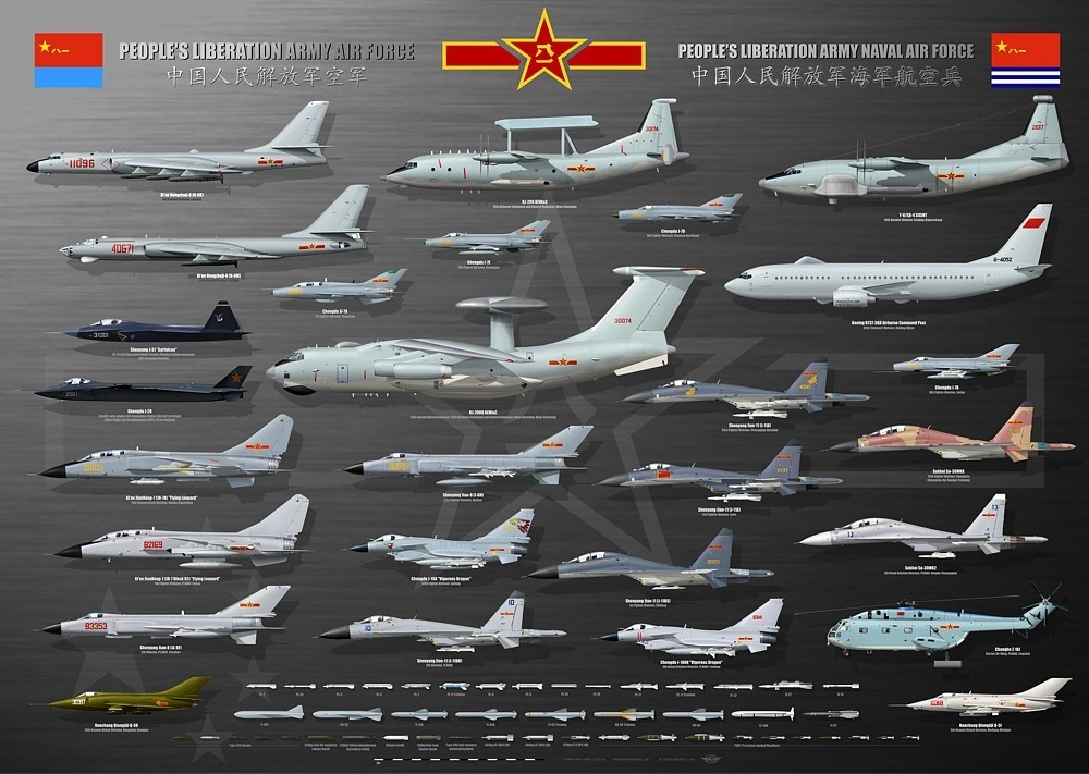 plaaf-planaf-collection-tc-217.jpg