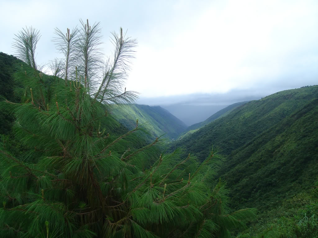 meghalaya-tours-khasi-hills.jpg