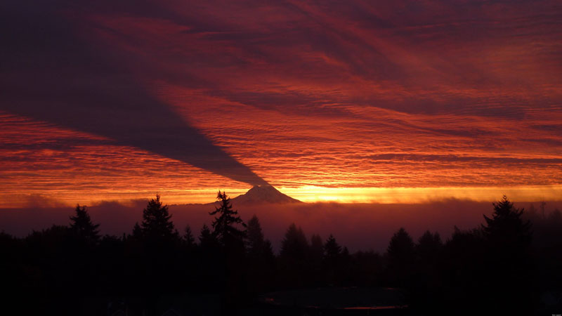 mount-rainier-casting-a-shadow-on-clouds.jpg