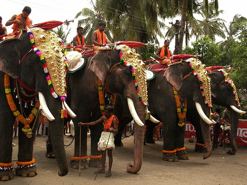 Kerala_Elephant.jpg