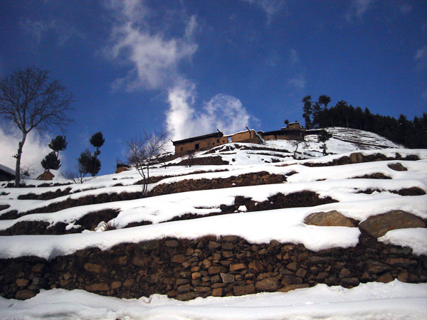 kaladhaka-bartooni-snowcover2.JPG