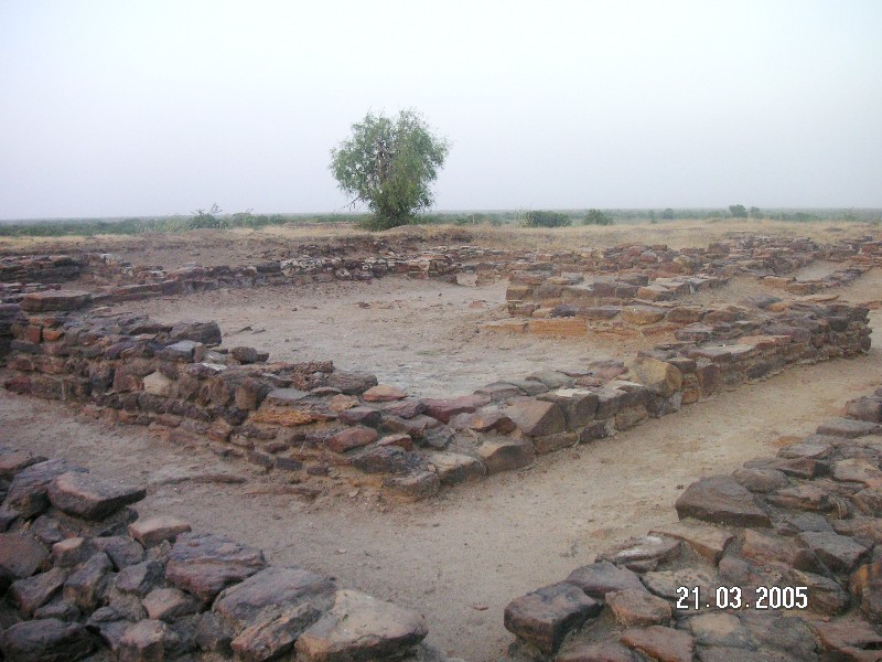 Rapar_taluka_20-22.3_309.jpg