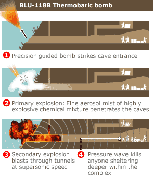 _1854371_thermo_bomb3_inf300.gif