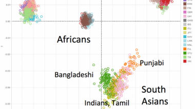 Screen%20Shot%202015-02-26%20at%2010.28.28.png