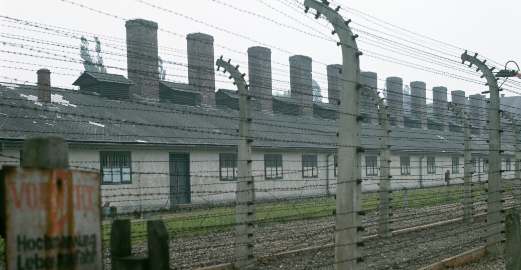 auschwitz-fences-P.jpeg