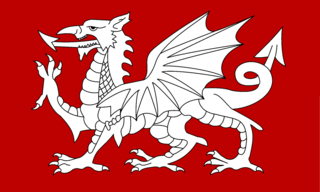 320px-White_Dragon_Flag_of_England.png